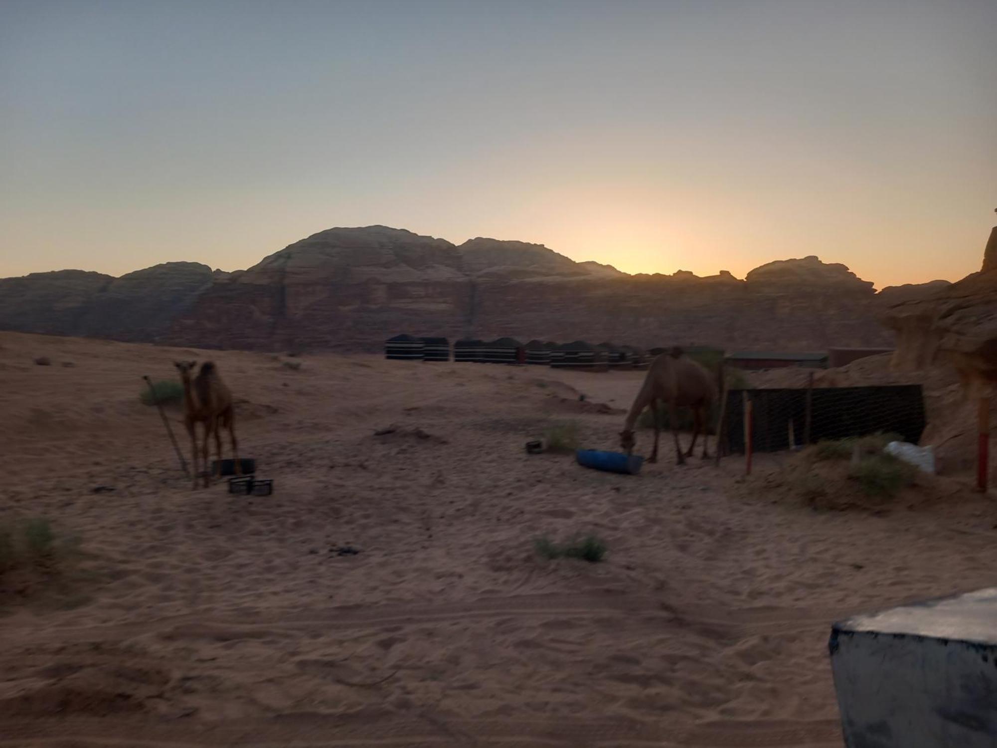 Bedouin Host Camp& With Tour Otel Ram Vadisi Dış mekan fotoğraf