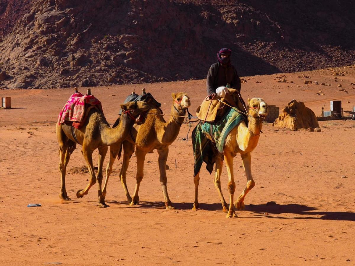 Bedouin Host Camp& With Tour Otel Ram Vadisi Dış mekan fotoğraf